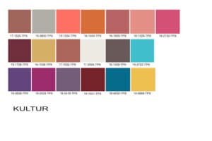The Kultur Fusion Color Palette
