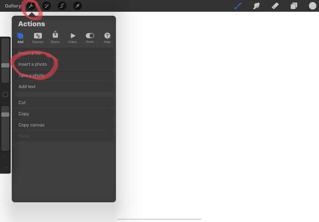 Procreate Insert Photo