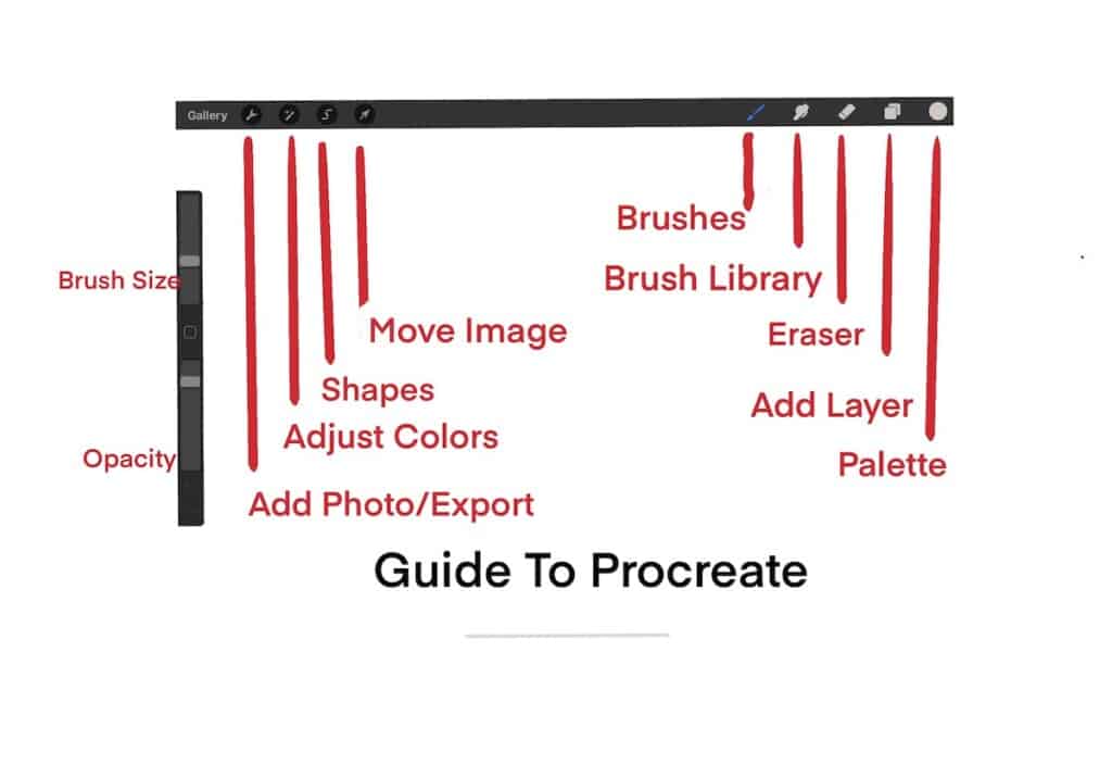 Procreate Guide