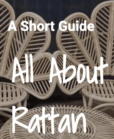 All About Rattan