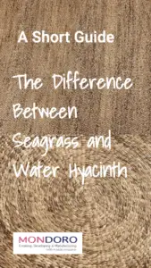SSeagrass&WaterHyacinth