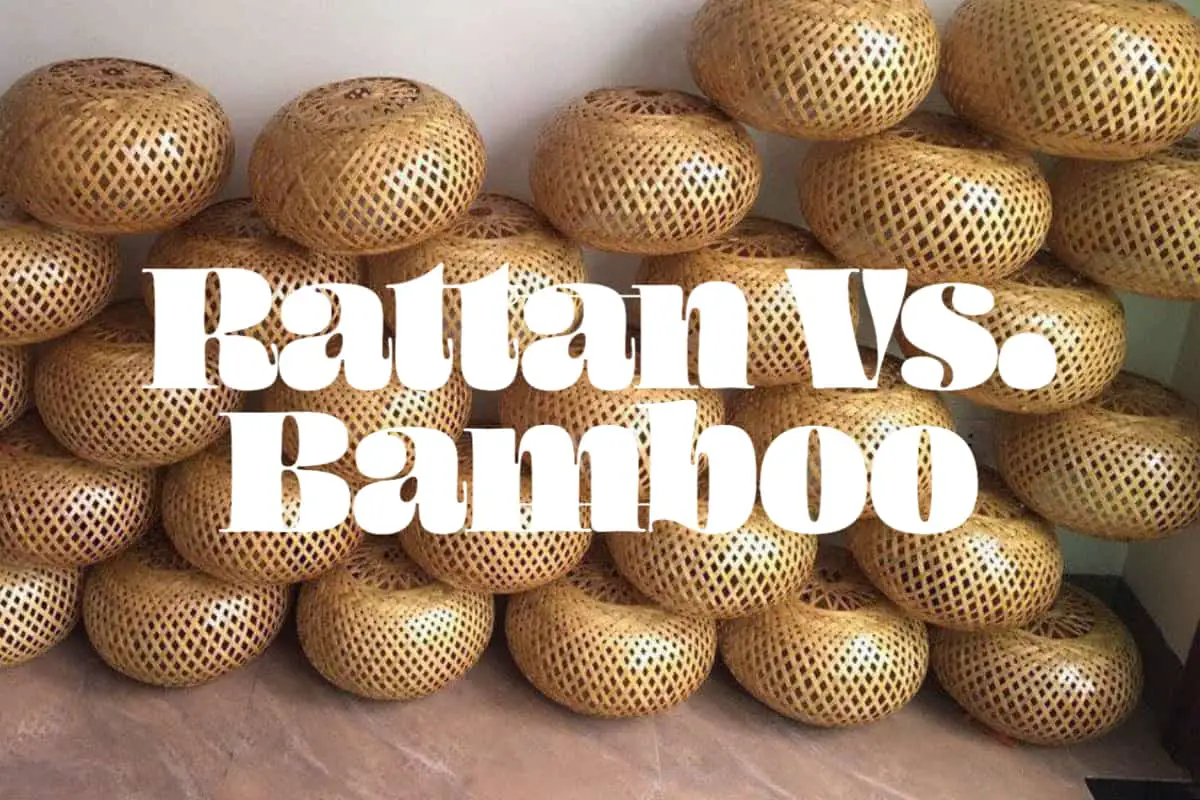 Rattan Vs Bamboo – The Differences Between the Materials Explained