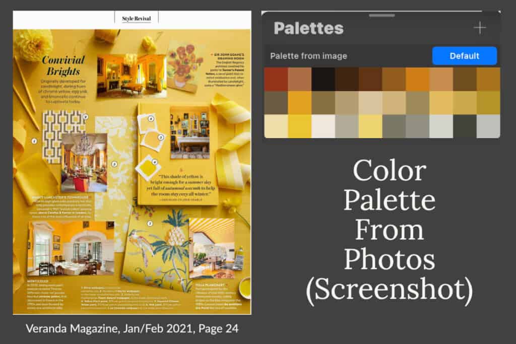 Setting Up A Color Palette From Photos or Screenshot