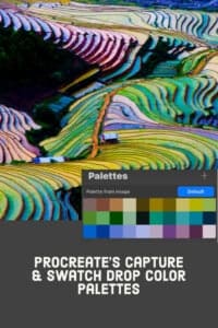 Procreate Capture and Swatch Drop Palettes