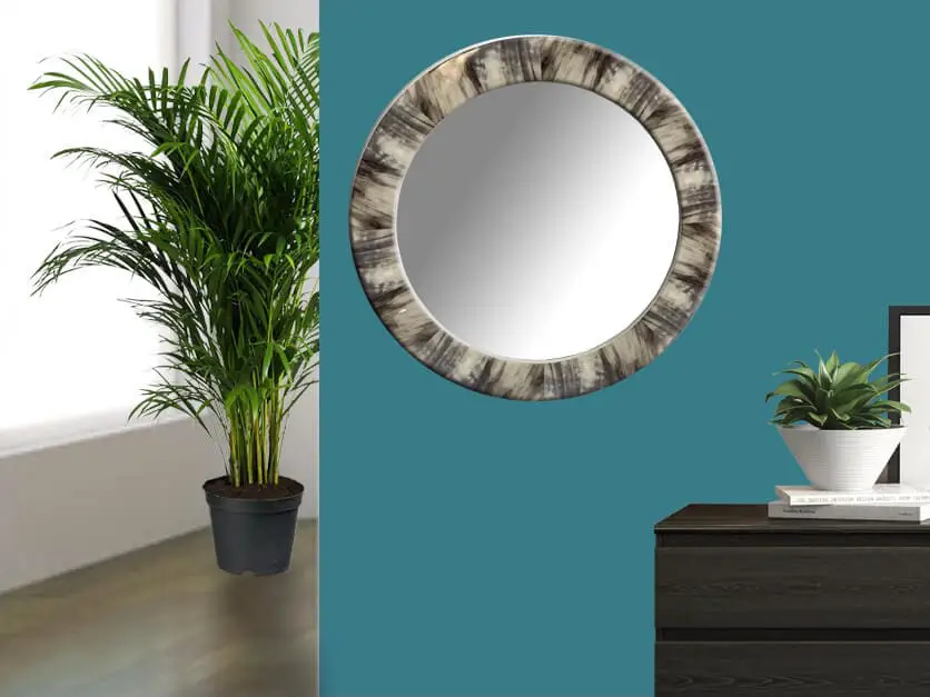 Faux Horn Mirror on wall