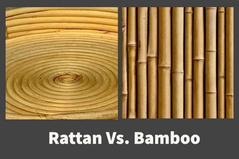 What Is Stronger Rattan Or Bamboo? Mondoro