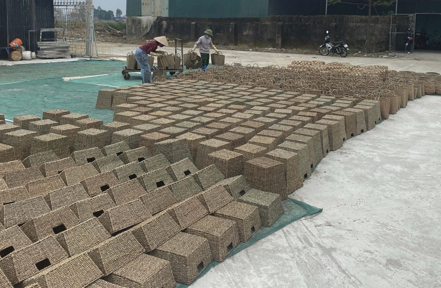 Seagrass Baskets Smell, Tips To Clear Out The Odor Mondoro