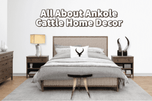 Home Decor Using Ankole Horn