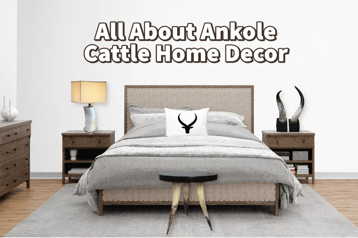 All About Ankole Cattle Home Decor