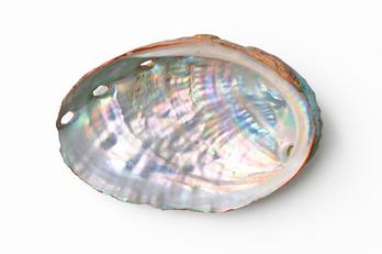 How to spot fake Mother of Pearl – Kalinko
