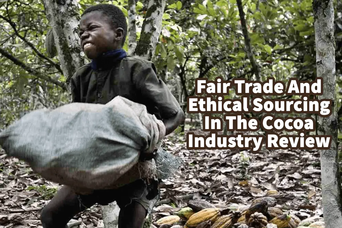 Fair Trade And Ethical Sourcing In The Cocoa Industry Review