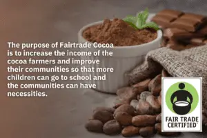 Purpose of Fairtrade Cocoa