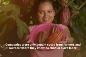 Companies Bought Only Cocoa To Farmers