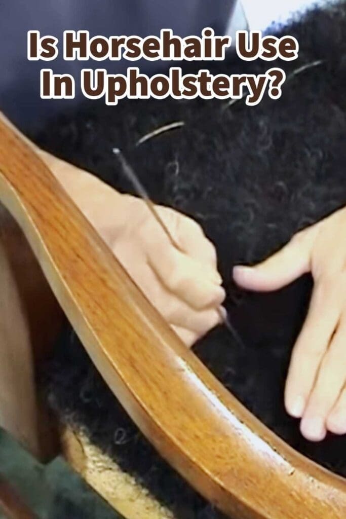 Is Horsehair Used In Upholstery? Mondoro Company Limited