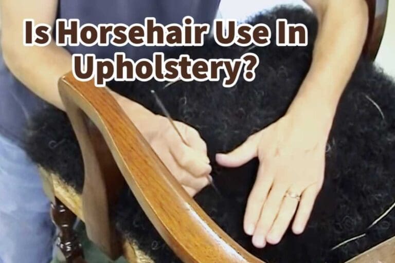Is Horsehair Used In Upholstery? Mondoro