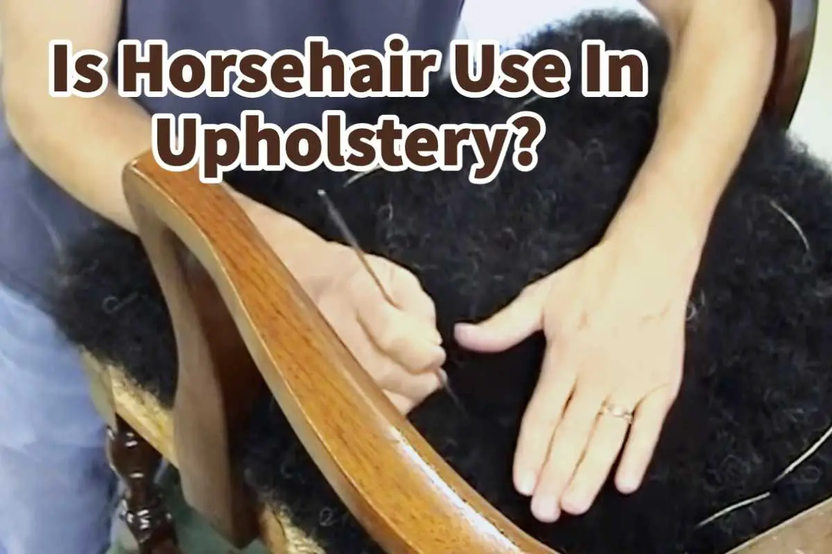Is Horsehair Used In Upholstery?