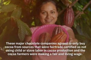 Chocolate Companies Bought Chocolate To Farmers