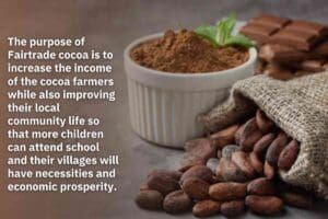 Purpose of Fair Trade In Cocoa