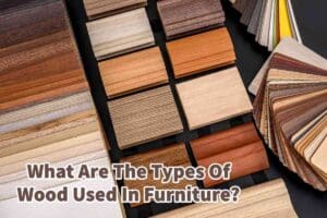 What Are The Types of Wood Used In Furniture?
