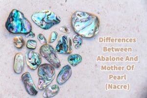 Differences Between Abalone And Mother Of Pearl (Narce)