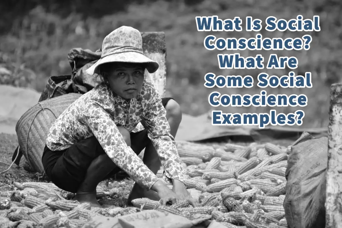 What Is Social Conscience?  Social Conscience Examples