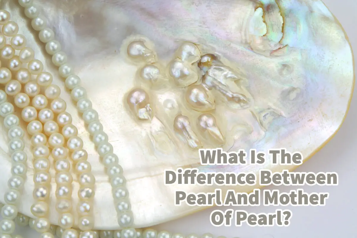 What Is The Difference Between Pearl And Mother Of Pearl?