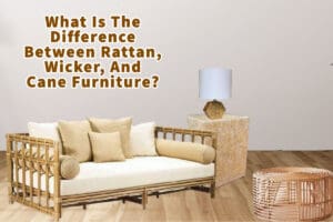What Is The Difference Between Rattan, Wicker, And Cane Furniture?