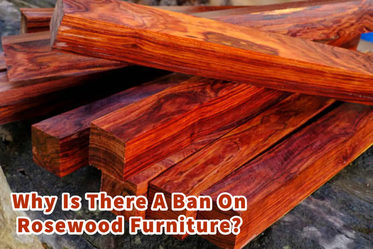 Why Is There A Ban On Rosewood Furniture?