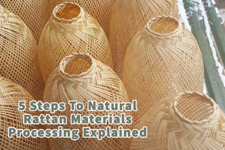5 Steps To Natural Rattan Materials Processing Explained Mondoro