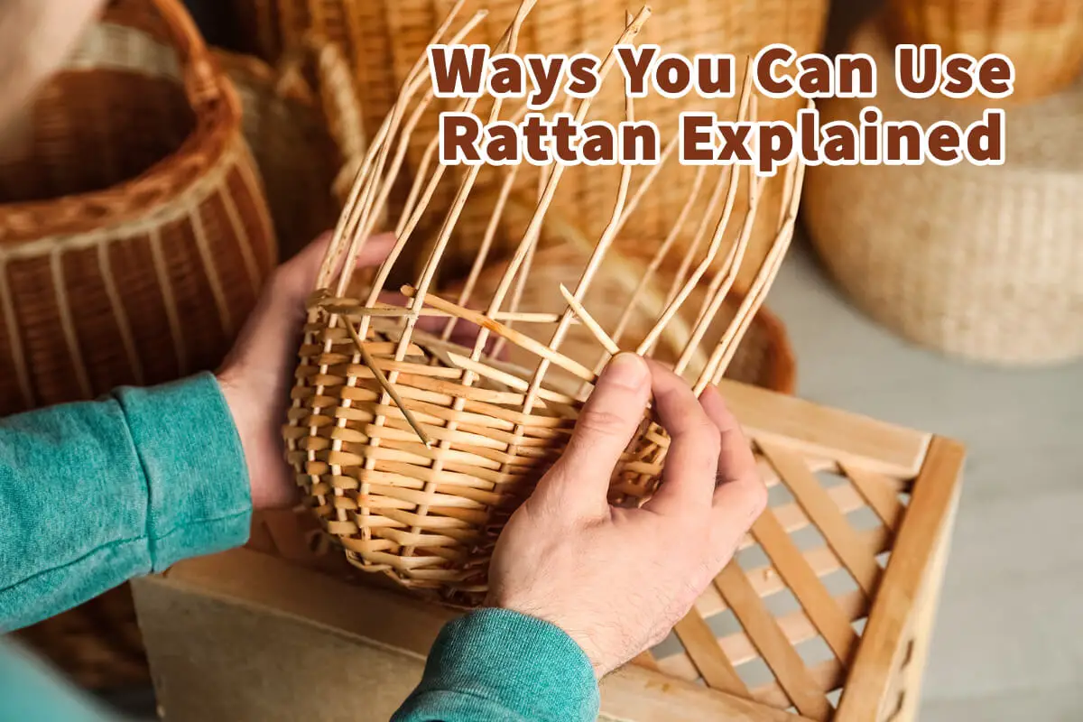 Ways You Can Use Rattan Explained