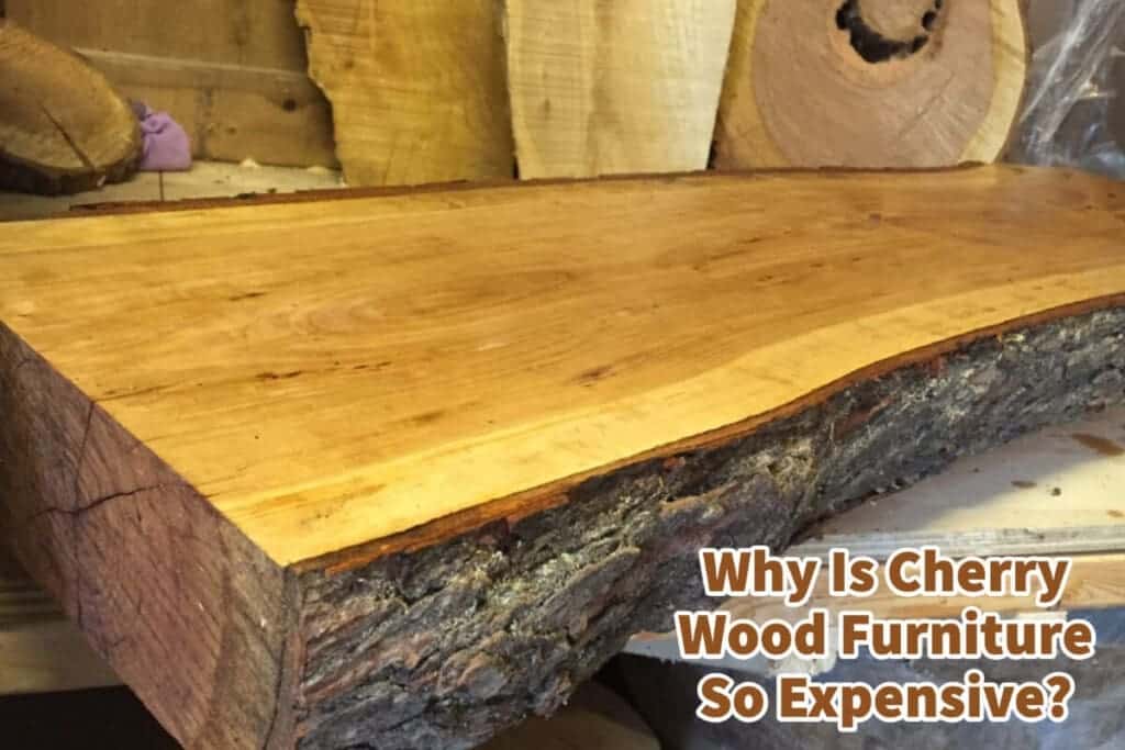 Why Is Cherry Wood Furniture So Expensive? Mondoro