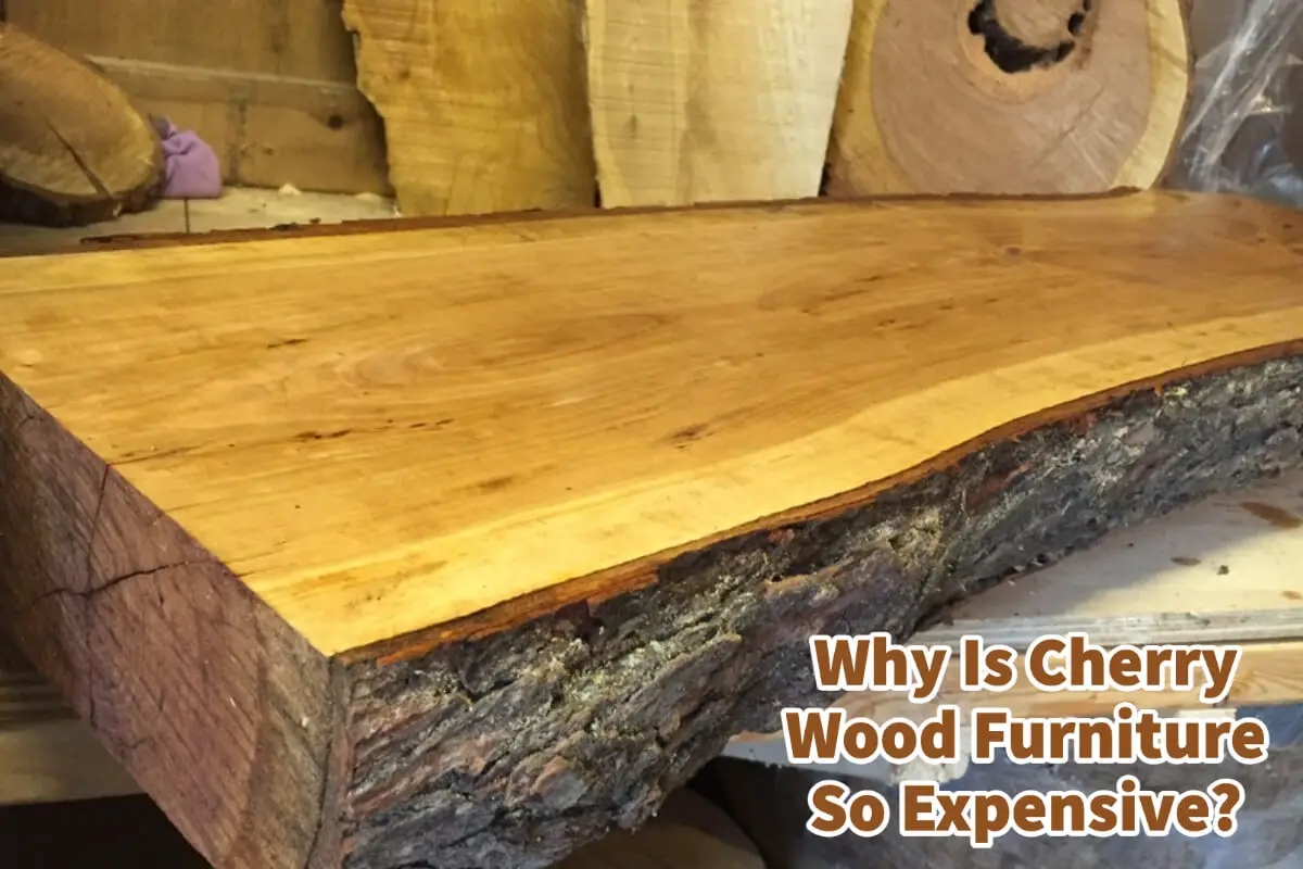 Why Is Cherry Wood Furniture So Expensive?