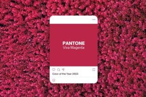 Color of the Year 2023 - Viva Magenta