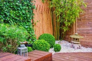 Bamboo Can Be Use In Zen Garden
