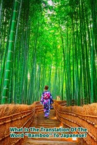 What Is The Translation Of The Word Bamboo To Japanese?