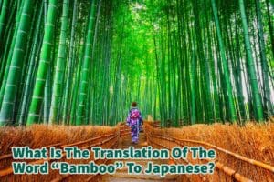 What Is The Translation Of The Word Bamboo To Japanese?