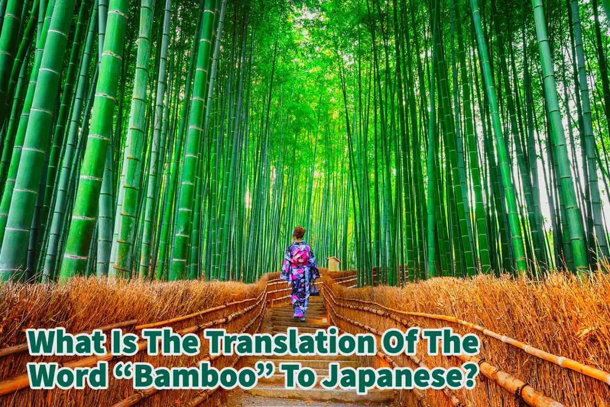 What Is The Translation Of The Word “Bamboo” In Japanese?