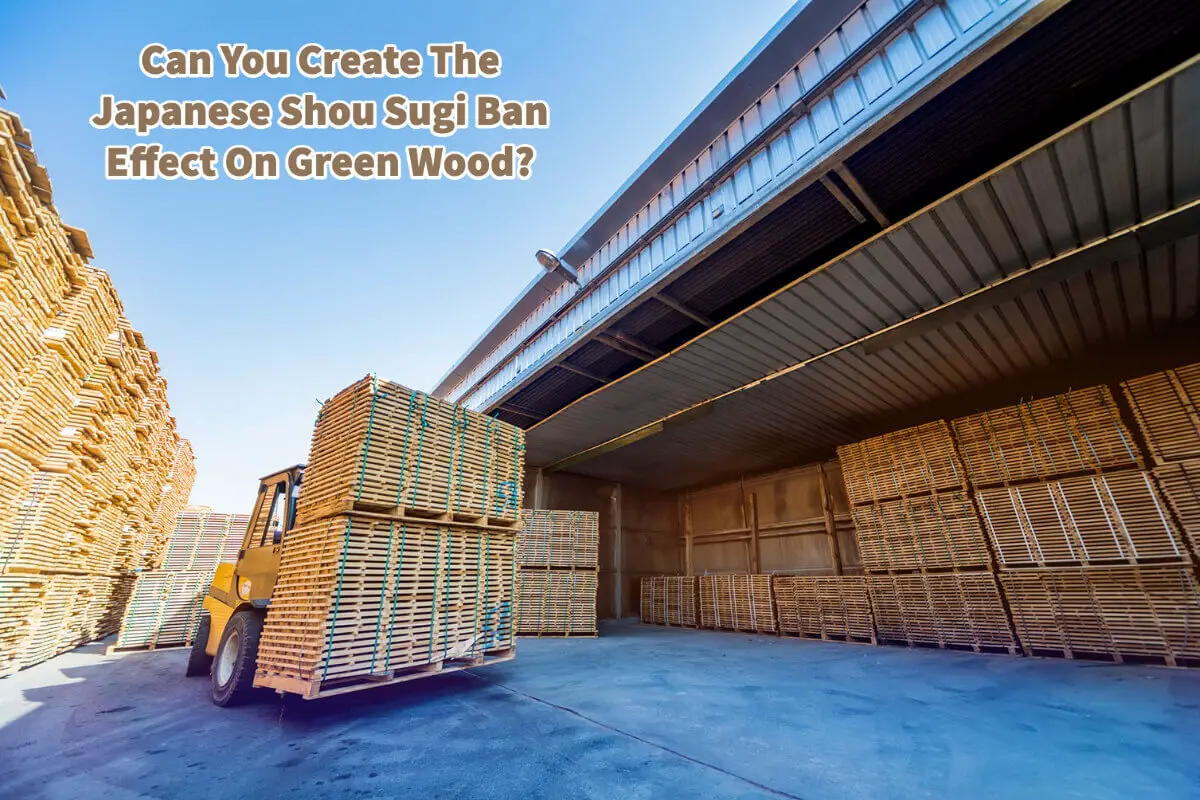 Can You Create The Japanese Shou Sugi Ban Effect On Green Wood?