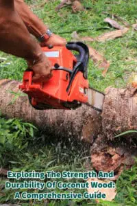 Exploring the Strength And Durability Of Coconut Wood- A Comprehensive Guide