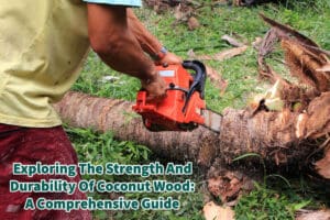 Exploring the Strength And Durability Of Coconut Wood- A Comprehensive Guide