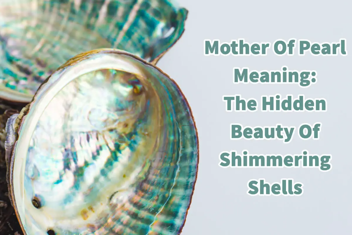 Mother Of Pearl Meaning: The Hidden Beauty Of Shimmering Shells