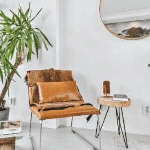 Organic Shapes Design In Home Decor Design
