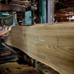 The teak wood is being cut using a machine.