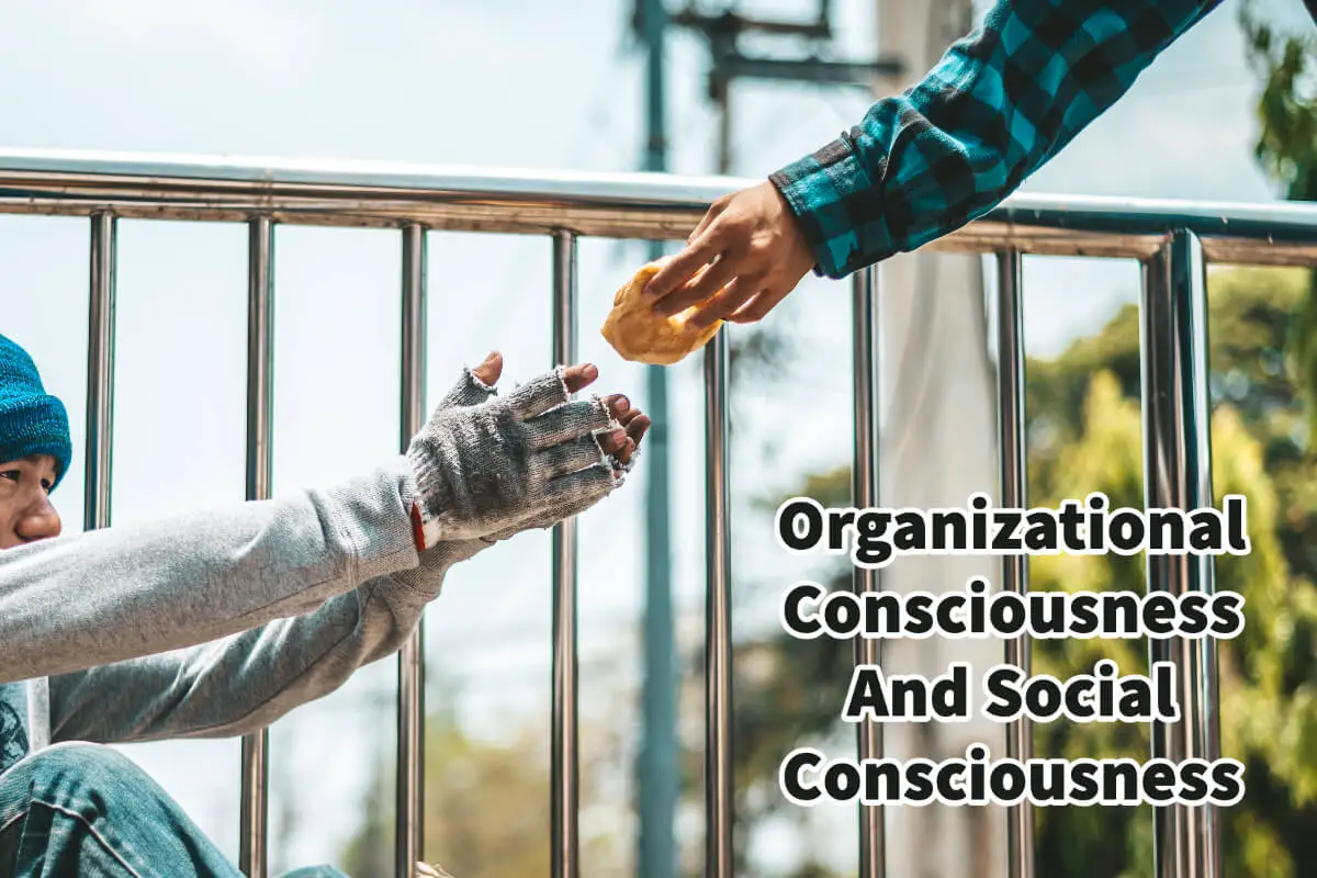 Organizational Consciousness And Social Consciousness