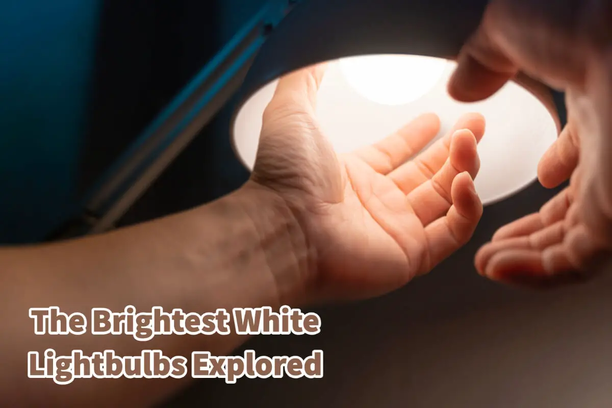 The Brightest White Lightbulbs Explored