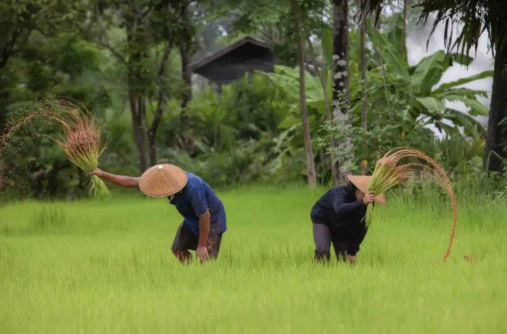 Farmers