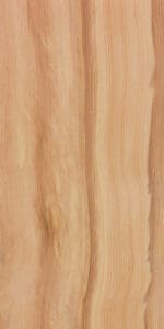 Juniper (Softwood) Sample