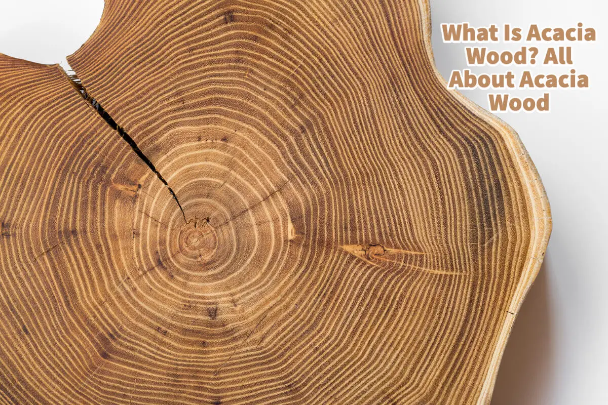 What Is Acacia Wood? All About Acacia Wood