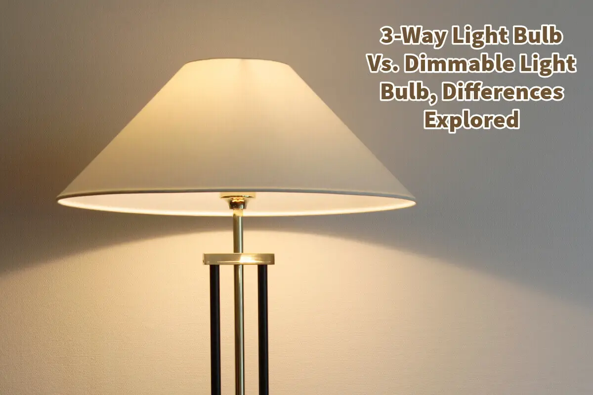 3-Way Light Bulb Vs. Dimmable Light Bulb, Differences Explored