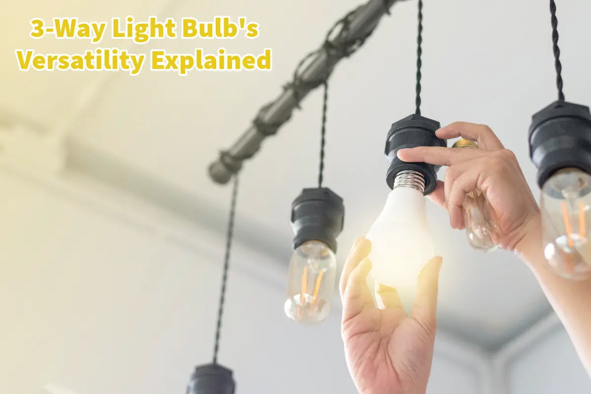 3-Way Light Bulb's Versatility Explained